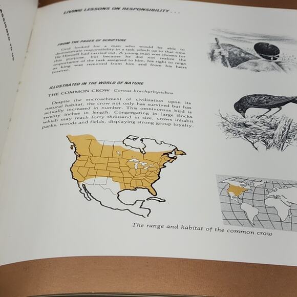 Character Sketches from the Pages of Scripture Illustrated Gothard 1st Edition - Picture 10 of 15